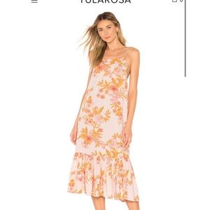 Tularosa Haels Dress from Revolve floral print